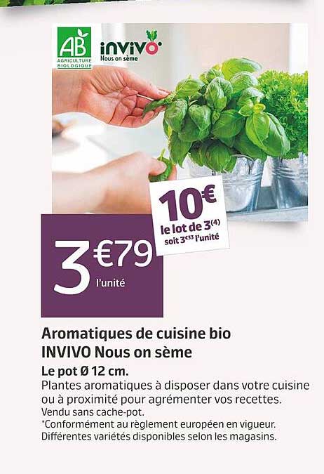 aromatiques de cuisine bio invivo nous on sème