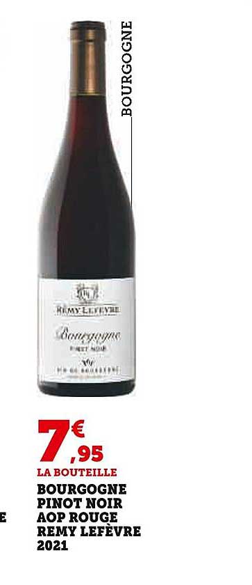 bourgogne pinot noir aop rouge remmy lefèvre 2021