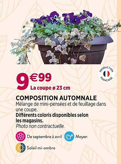 composition automnale