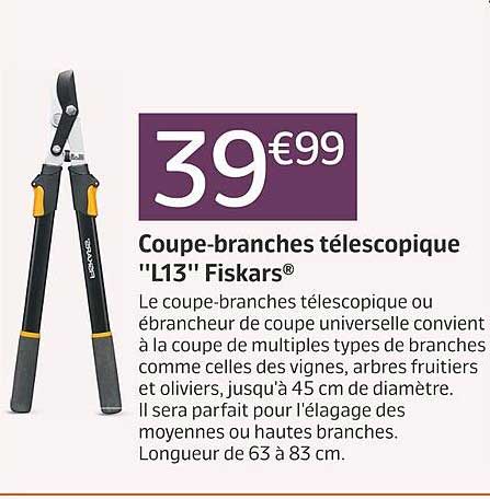 coupe-branches télescopique "l13" fiskars