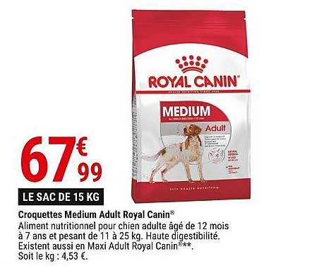 croquettes medium adult royal canin