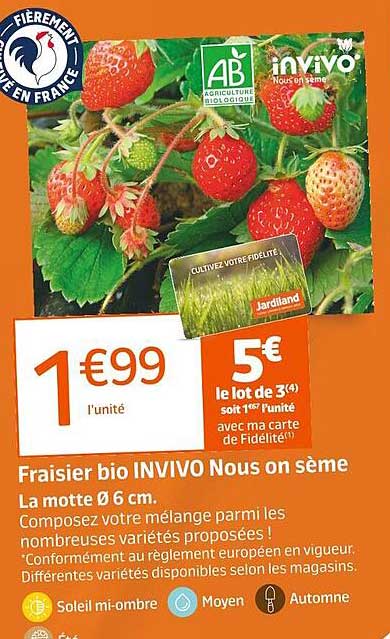 fraisier bio invivo nous on sème