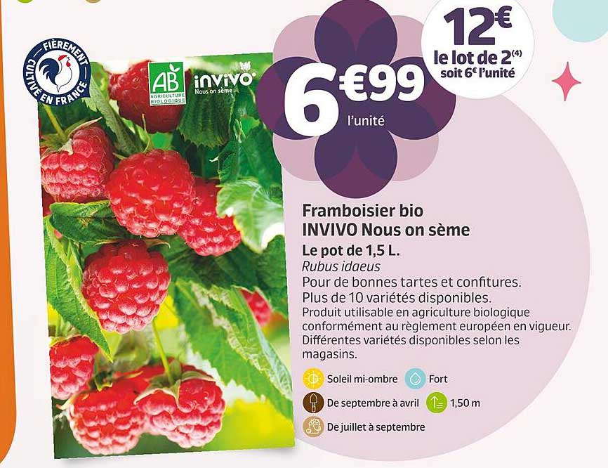 framboisier bio invivo nous on sème