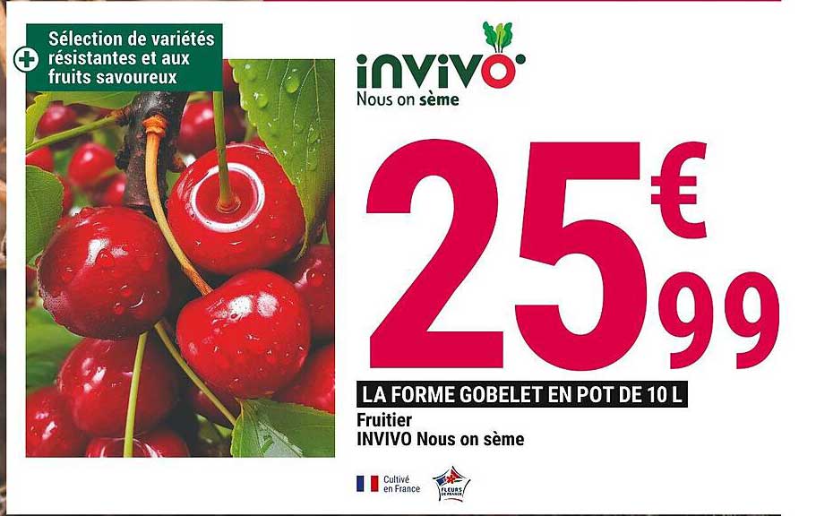 fruitier invivo nous on sème