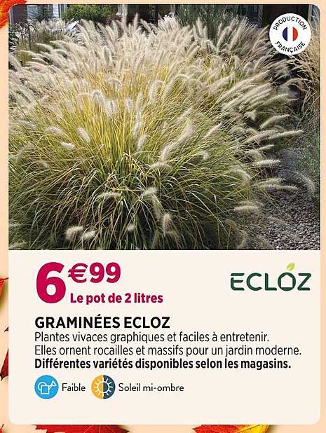 graminées ecloz