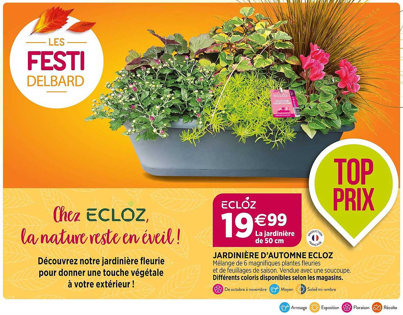 jardinière d'automne ecloz