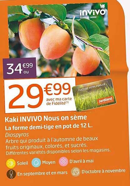 kaki invivo nous on sème