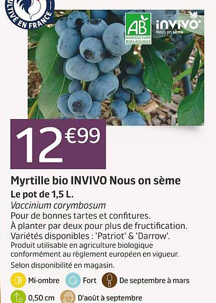 myrtille bio invivo nous on sème