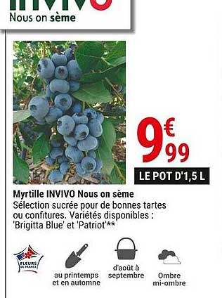 myrtille invivo nous on sème