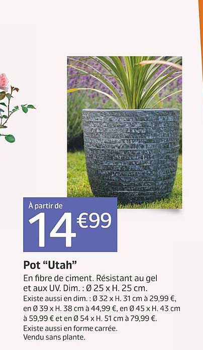 Pot "utah"