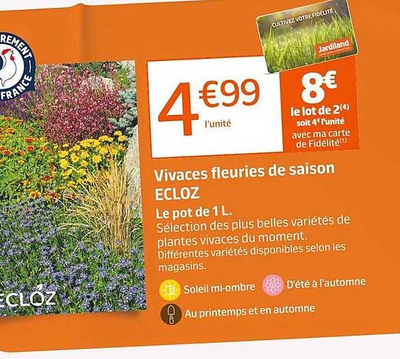 vivaces fleuries de saison ecloz