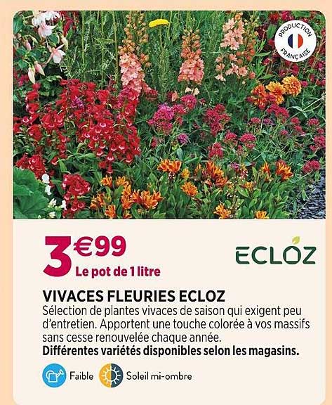 vivaces fleuries ecloz