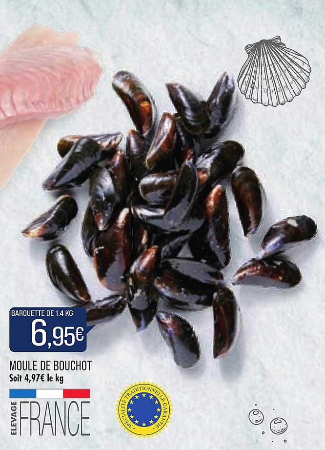 Moule De Bouchot