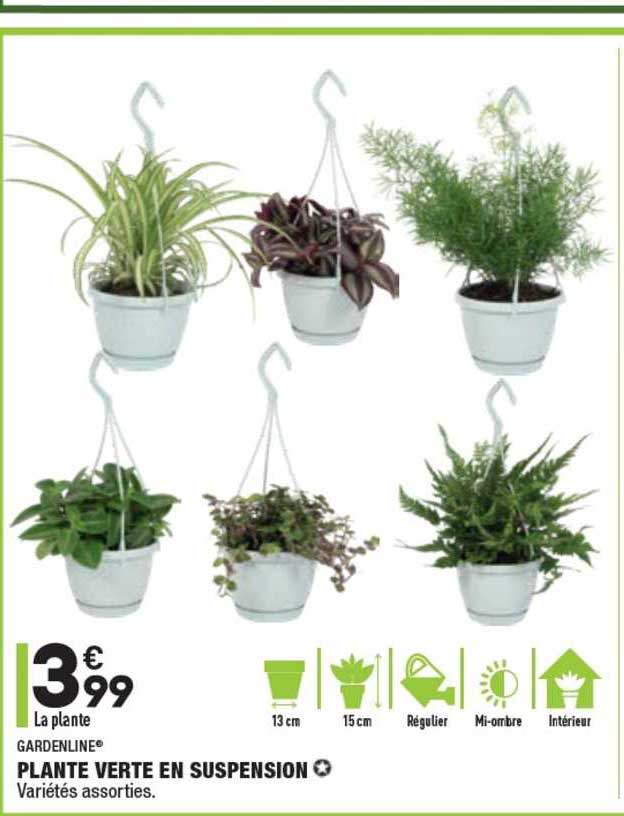 Plante Verte En Suspension Gardenline®