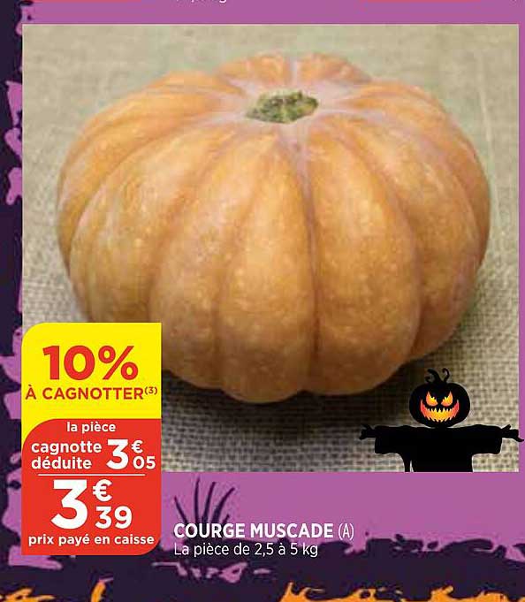 courge muscade