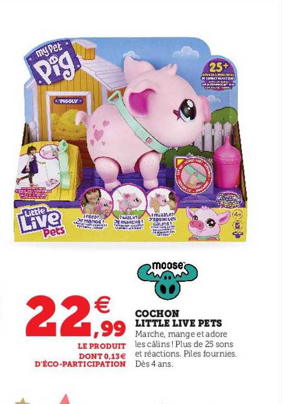 cochon little live pets moose