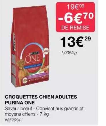 Croquettes Chien Adultes Purina One