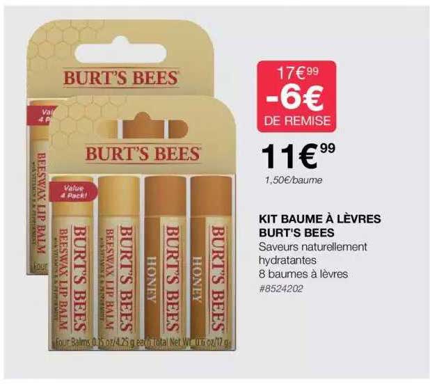 kit baume à lèvres burt's bees