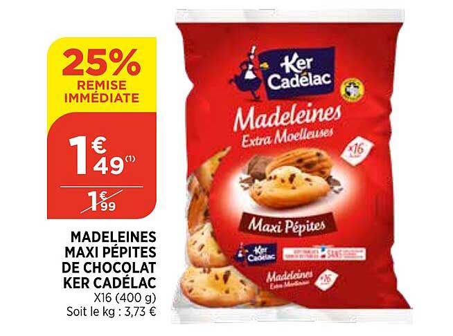 madeleines maxi pépites de chocolat ker cadalac