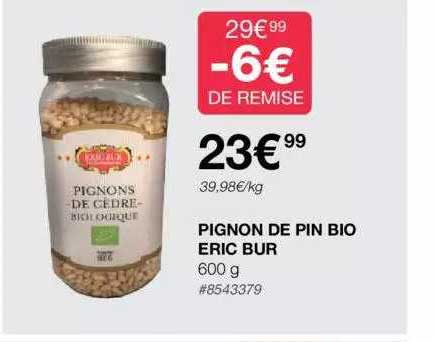 pignon de pin bio eric bur