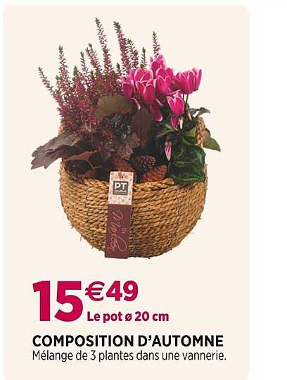 composition d'automne