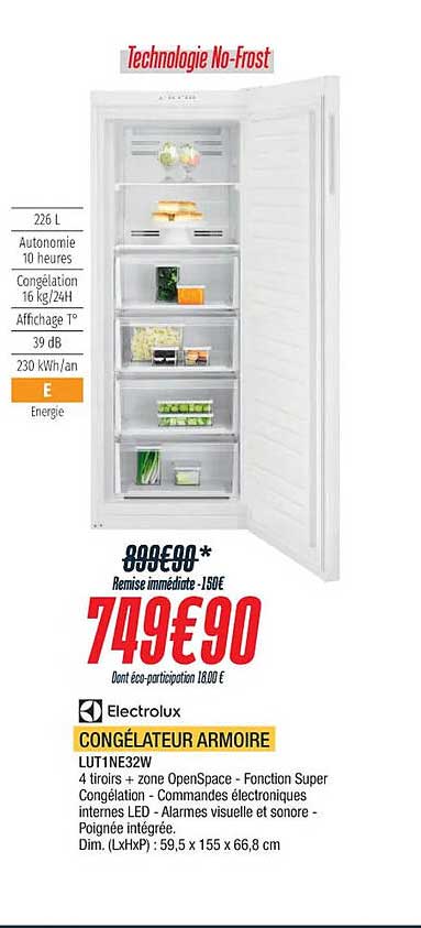 Congélateur Armoire Electrolux