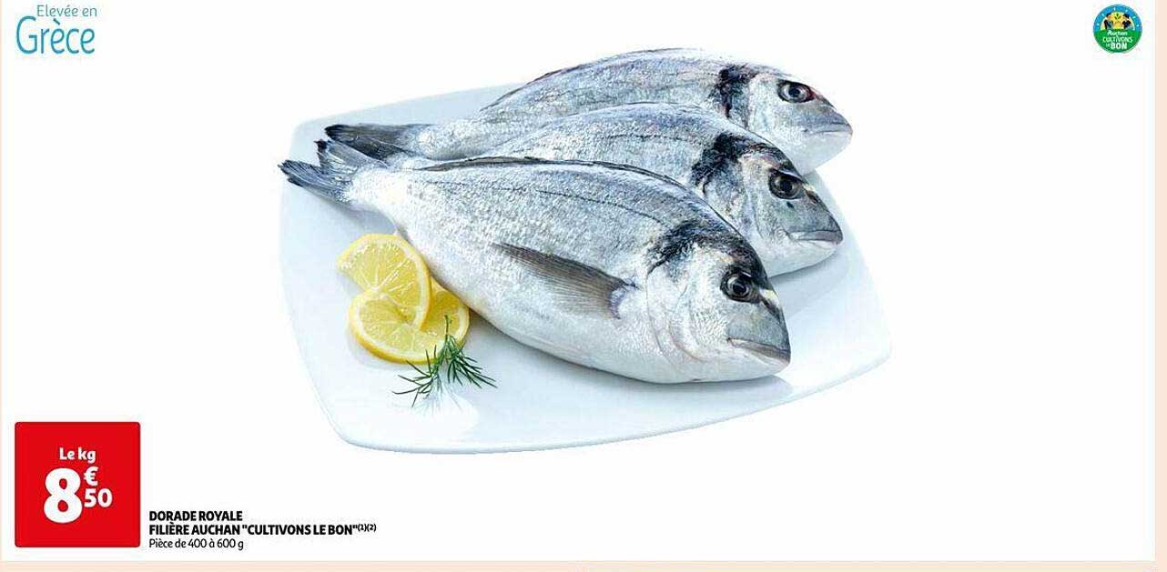 dorade royale filière auchan "cultivons le bon"
