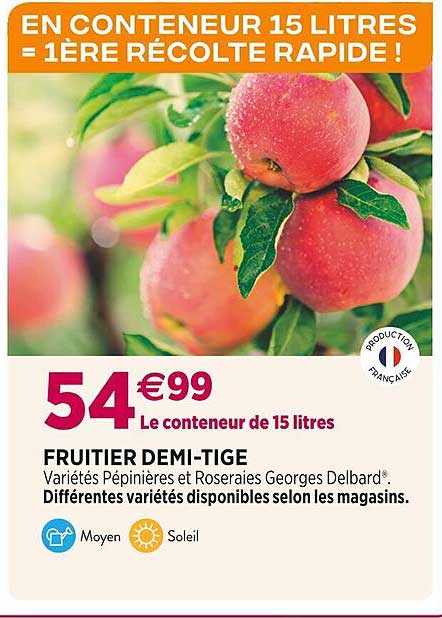 fruitier demi-tige