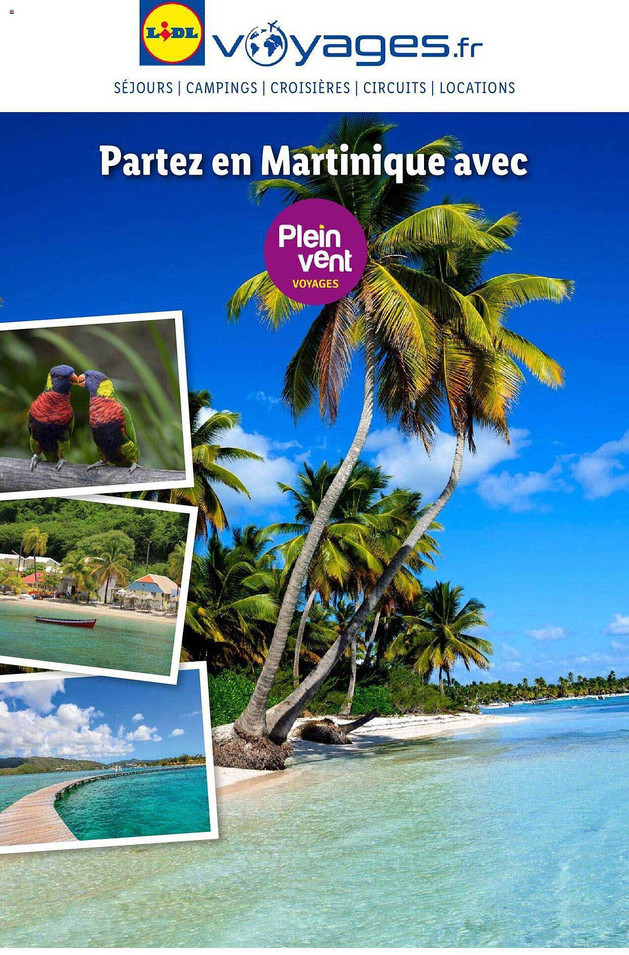 martinique avec plein vent