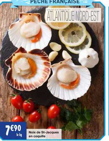 noix de st-jacques en coquille