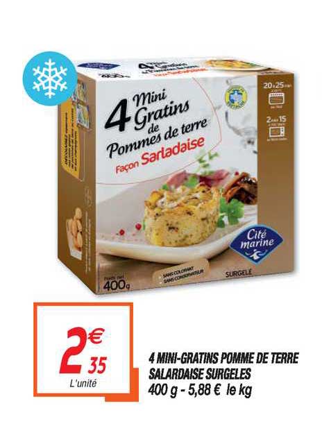 4 mini gratins pomme de terre salardaise surgelés