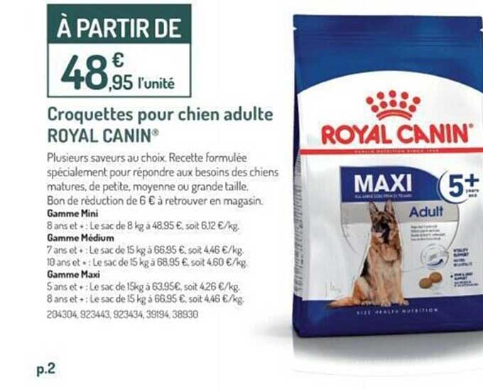 croquettes pour chien adulte royal canin