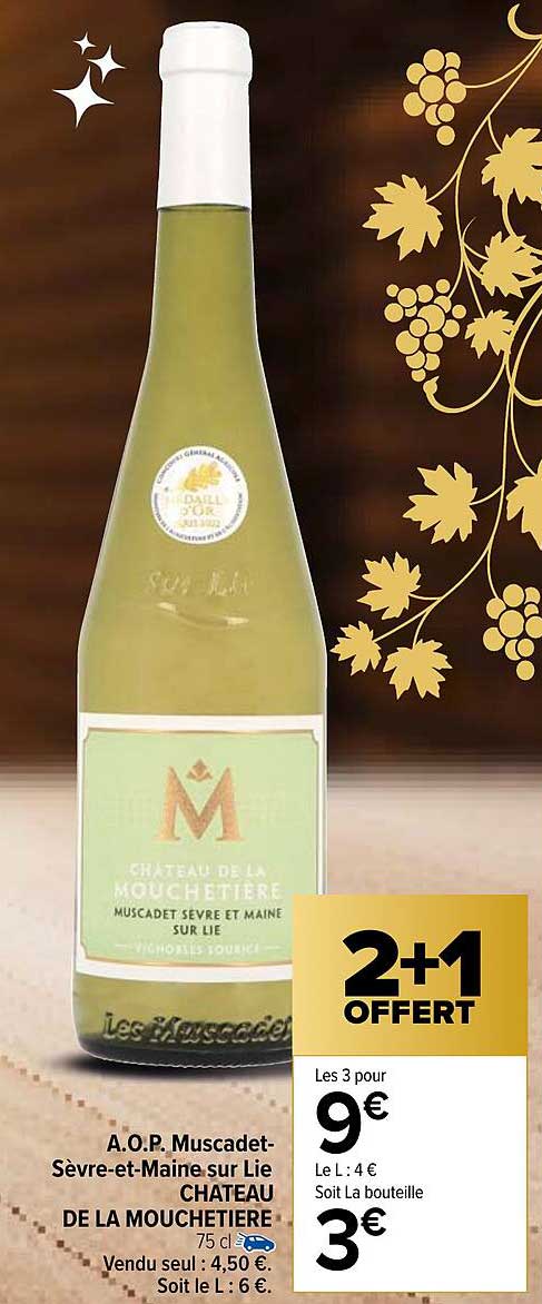 a.o.p. muscadet-sèvre-et-maine sur lie château de la mouchetière
