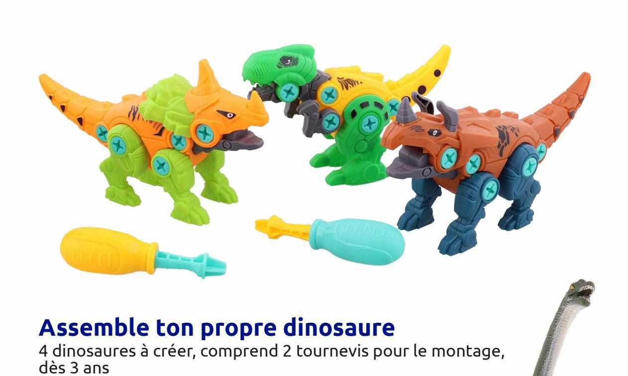 assemblé ton propre dinosaure