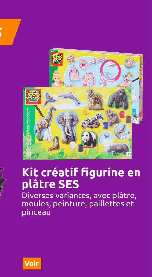 kit créatif figurine en plâtre ses