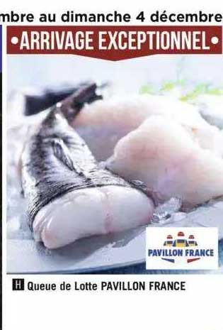 queue de lotte pavillon france