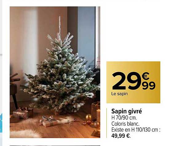 Sapin Givré