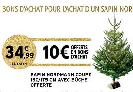sapin nordmann coupé avec bûche offerte