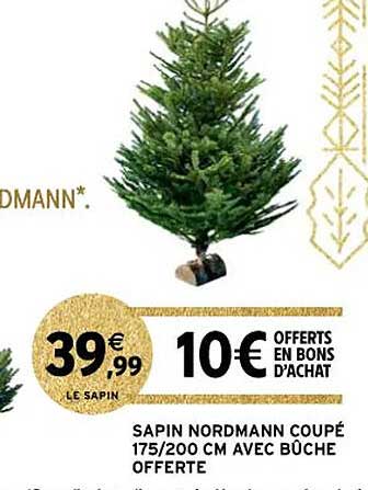 sapin nordmann coupé avec bûche offerte