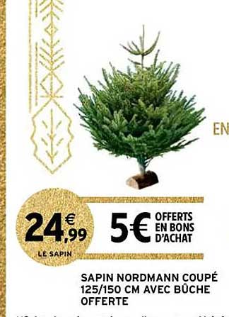 Sapin Nordmann Coupé Avec Bûche Offerte
