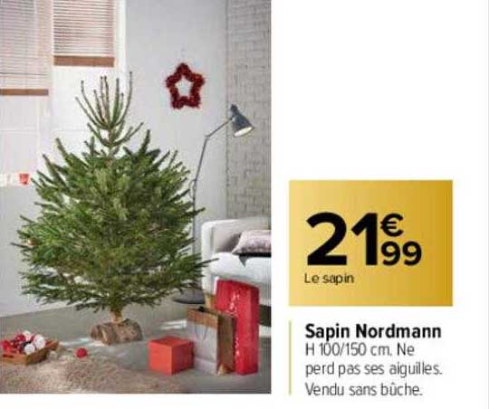sapin nordmann