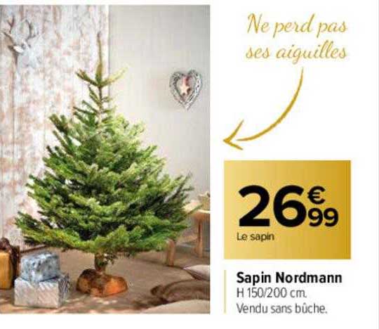 Sapin Nordmann