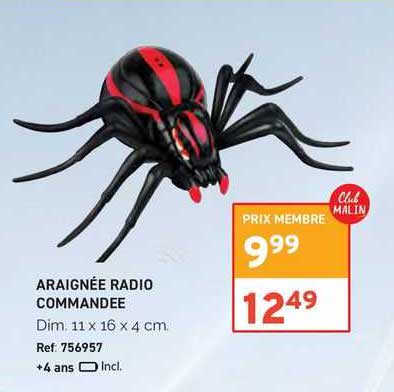 araignée radiocommandée