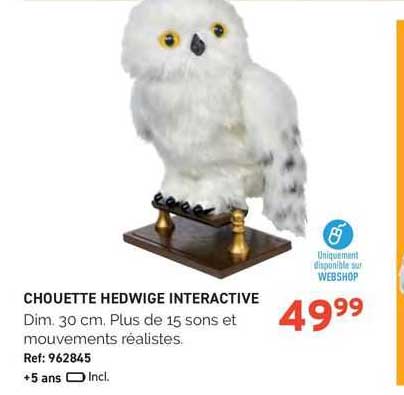 choutte hedwige interactive