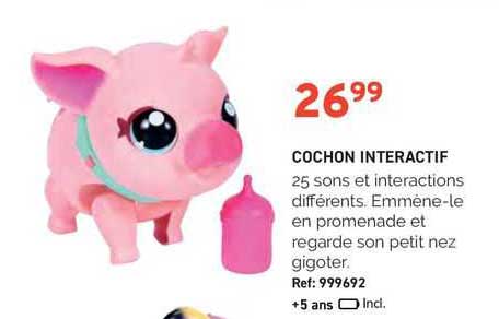 cochon interactif