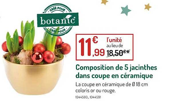 composition de 5 jacinthes dans coupe en céramique