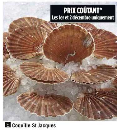 coquille st jacques