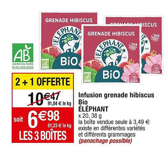Infusion Grenade Hibiscus Bio éléphant