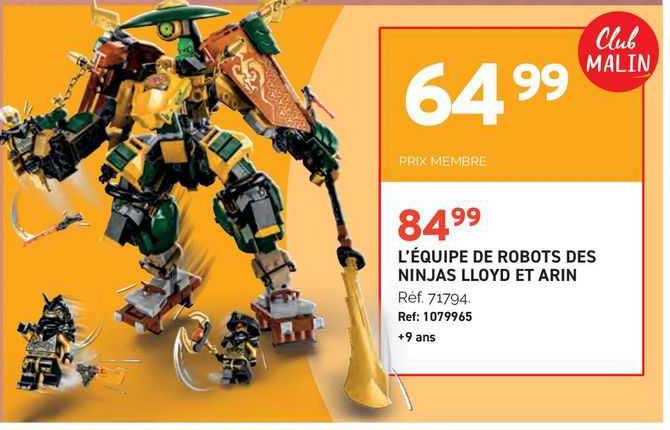 l'équipe de robots des ninjas lloyd et arin