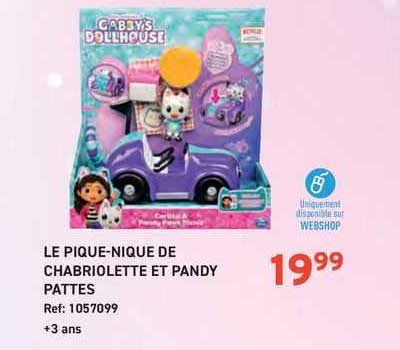 le pique-nique de chabriolette et pandy pattes